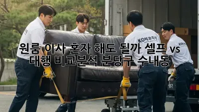 원룸 이사, 혼자 해도 될까? 셀프 vs 대행 비교분석 (분당구 수내동)